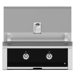 Aspire By Hestan 30-Inch 2-Burner Built-In Propane Gas Grill With Infrared Sear Burner - Stealth