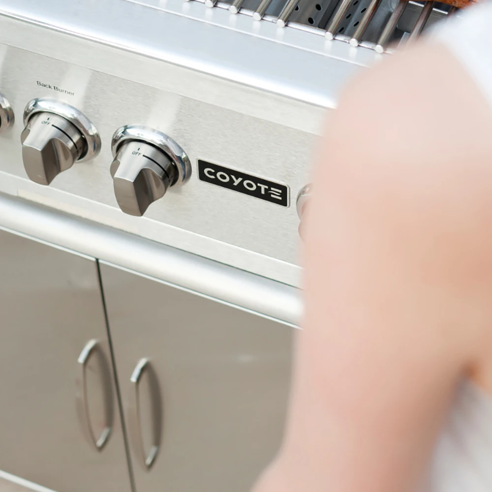 Coyote 39-inch Stainless Steel Double Access Door 3 Coyote 39-inch Stainless Steel Double Access Door - Image 3