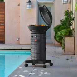 BBQ Haven Shop -BBQ Haven Shop Fuego Grills Element Propane Gas Grill F21C H Lifestyle Lid