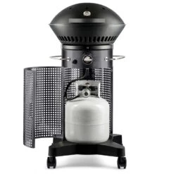 Fuego Grills Element 21-Inch 2-Burner Propane Freestanding Gas Grill - Carbon Steel