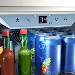 Zephyr Presrv 24-Inch 5.6 Cu. Ft. Outdoor Rated Compact Refrigerator With Locking Door -BBQ Haven Shop PRR24C01AS OD control