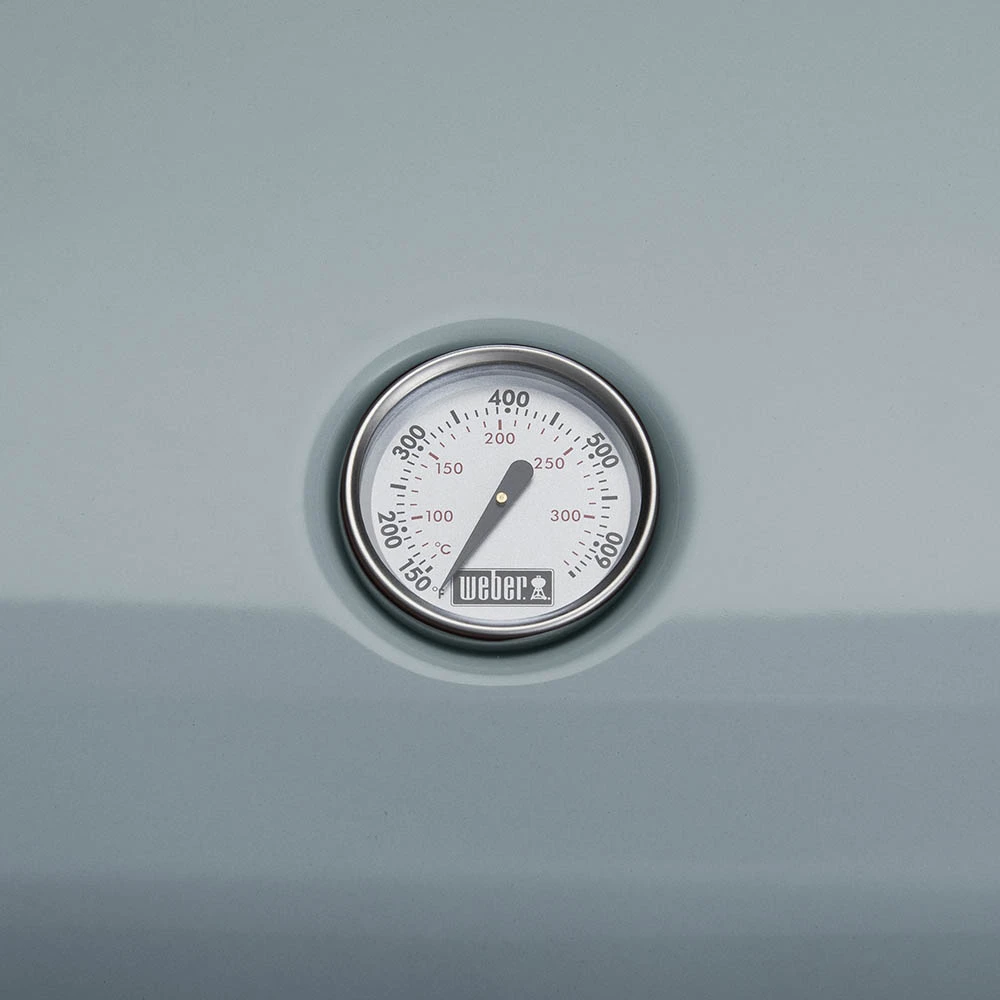 Weber Grills Lumin 1000 Compact 23-Inch 120V Portable Electric Grill - Light Blue 3 Weber Grills Lumin 1000 Compact 23-Inch 120V Portable Electric Grill - Light Blue - Image 3